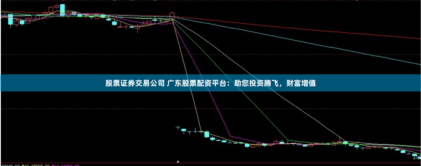 股票证券交易公司 广东股票配资平台：助您投资腾飞，财富增值