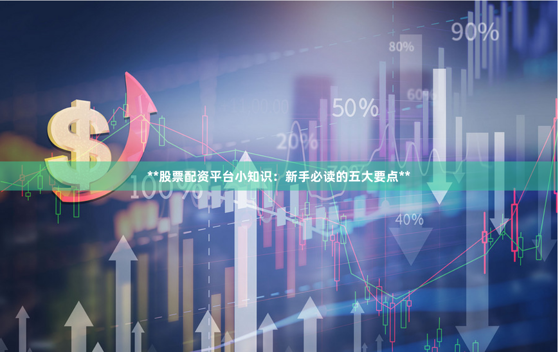 **股票配资平台小知识:新手必读的五大要点**